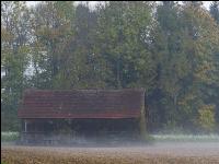 Herbstliche Impressionen 7