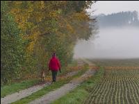 Herbstspaziergang 2