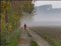 Herbstspaziergang 1