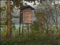 Hochstand 20