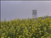 Herbstliche Impressionen 4