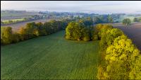 Herbstlandschaft 6