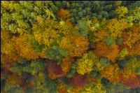 Herbstliche Impressionen 1