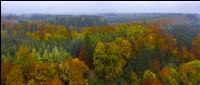 Herbstliche Impressionen 2