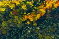 Herbstliche Impressionen 3