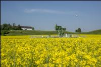 Ölraps und Ölpumpanlage 2