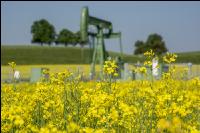 Ölraps und Ölpumpanlage 1