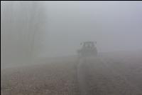 Herbstfurche dichter Nebel 5