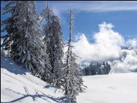 Winter im Gebirge 9