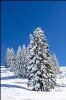 Winter im Gebirge 7