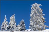 Winter im Gebirge 4