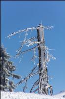 Winter im Gebirge 3