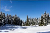 Winter im Gebirge 1