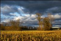 Abendlicht im Februar 3