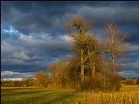 Abendlicht im Februar 1