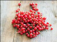 Johannisbeere rot 6