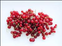 Johannisbeere rot 3
