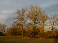 Abendlicht im Februar 14