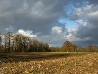 Abendlicht im Februar 6