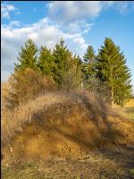 Erdhaufen