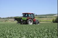 Wheat fertilizer 83