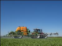 Weizen Herbizid 89