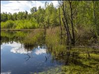 Im Hochmoor 17