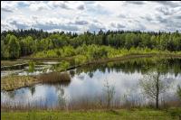 Im Hochmoor 15