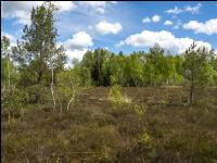 Im Hochmoor 7