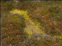 Im Hochmoor 6