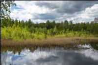 Im Hochmoor 4