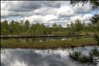 Im Hochmoor 3