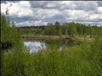 Im Hochmoor 1