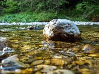 Fluss 1