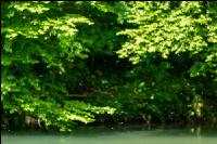 Fliegen steigen über Fluss