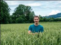 Triticale Blüte 22