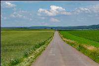 Landw. Wegenetz 9