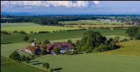 Getreidefelder im Juni 15
