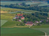 Getreidefelder im Juni 13