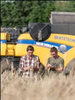 Roggen Ernte 50