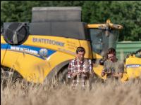 Roggen Ernte 49