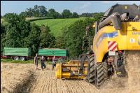 Roggen Ernte 39