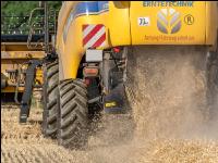 Roggen Ernte 36