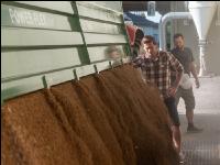 Weizen Ablieferung 105
