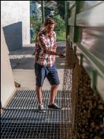 Weizen Ablieferung 99