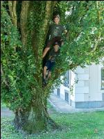 Kinder in der Landwirtschaft 16