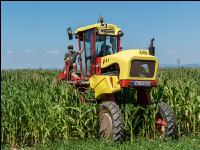 Kinder in der Landwirtschaft 15