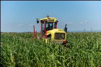 Kinder in der Landwirtschaft 12