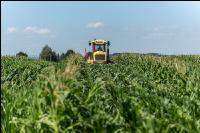 Kinder in der Landwirtschaft 11