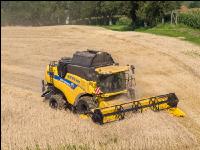 Roggen Ernte 77